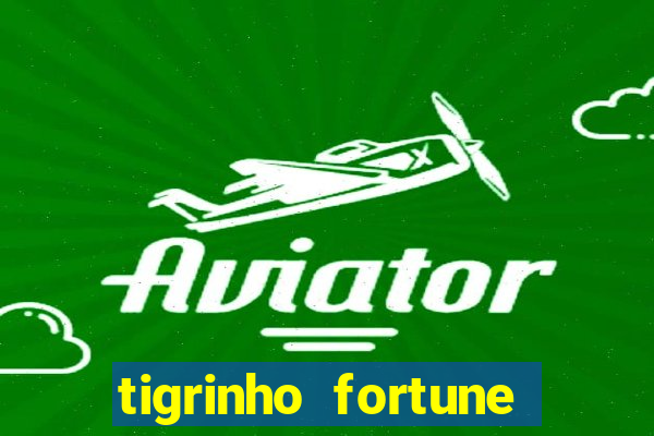 tigrinho fortune dinheiro infinito